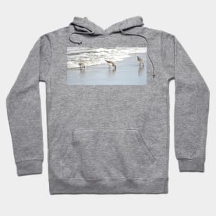 Shorebirds in the Surf - Oregon Coast Hoodie